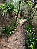 Fogo : Monte Velha : hiking track : Landscape Mountain
Cabo Verde Foto Gallery