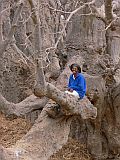 Fogo : Monte Tabor : Baobab calabaceira : People Recreation
Cabo Verde Foto Gallery