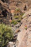 So Vicente : Santa Luzia da Terra : oasis : Landscape Mountain
Cabo Verde Foto Gallery