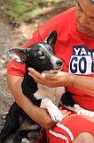 So Vicente : Santa Luzia da Terra : dog : Nature Animals
Cabo Verde Foto Gallery