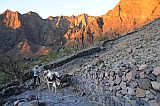 Santo Anto : Caetano Bordeira de Norte : hiking trail donkey : Landscape Mountain
Cabo Verde Foto Gallery