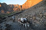 Santo Anto : Caetano Bordeira de Norte : hiking trail donkey : Landscape Mountain
Cabo Verde Foto Gallery