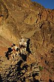 Santo Anto : Caetano Bordeira de Norte : hiking trail donkey : Landscape Mountain
Cabo Verde Foto Gallery