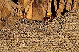 Santo Anto : Caetano Bordeira de Norte : hiking trail donkey : Landscape Mountain
Cabo Verde Foto Gallery