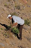 Santo Anto : Bordeira de Norte : hiking trail donkey : People Work
Cabo Verde Foto Gallery