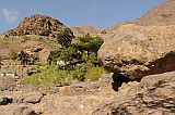 Santo Anto : Tarrafal de Monte Trigo Cavouco de Tarref : vale : Landscape Agriculture
Cabo Verde Foto Galeria