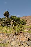 Santo Anto : Tarrafal de Monte Trigo Cavouco de Tarref : vale : Landscape Agriculture
Cabo Verde Foto Galeria