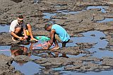 Santo Anto : Ponta do Sol : fishermen : People Work
Cabo Verde Foto Gallery