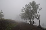 Insel: Santo Anto  Wanderweg:  Ort: Lagoa Motiv: Nebel Motivgruppe: Landscape © Pitt Reitmaier www.Cabo-Verde-Foto.com