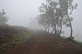 Insel: Santo Anto  Wanderweg:  Ort: Lagoa Motiv: Nebel Motivgruppe: Landscape © Pitt Reitmaier www.Cabo-Verde-Foto.com