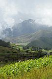 Santo Ant�o : Lagoa Compainha : after the rain : Landscape Agriculture
Cabo Verde Foto Gallery