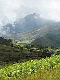 Santo Ant�o : Lagoa Compainha : after the rain : Landscape Agriculture
Cabo Verde Foto Gallery