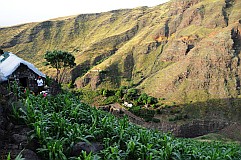 Santo Antão : Tabuleirinho da Tabuga : waterpoint and shop deep in the valley : Landscape Mountain
Cabo Verde Foto Gallery