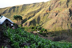 Insel: Santo Anto  Wanderweg: 315 Ort: Tabuleirinho da Tabuga Motiv: Wasserstelle und Laden tief im Tal Motivgruppe: Landscape Mountain © Pitt Reitmaier www.Cabo-Verde-Foto.com