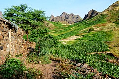 Insel: Santo Anto  Wanderweg: 315 Ort: Tabuleirinho da Tabuga Motiv: Landschaft grn Motivgruppe: Landscape Mountain © Pitt Reitmaier www.Cabo-Verde-Foto.com