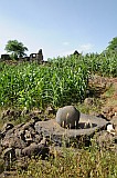 Santo Anto : Tabuleirinho da Tabuga : mill : Landscape Agriculture
Cabo Verde Foto Gallery