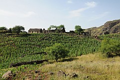 Santo Anto : Tabuleirinho da Tabuga : field ruin : Landscape Agriculture
Cabo Verde Foto Gallery