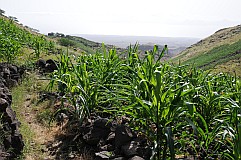 Insel: Santo Anto  Wanderweg: 315 Ort: Tabuleirinho da Tabuga Motiv: Wanderweg Motivgruppe: Landscape Agriculture © Pitt Reitmaier www.Cabo-Verde-Foto.com