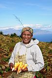 So Vicente : Monte Verde : mulher trabalho campo : People Work
Cabo Verde Foto Galeria