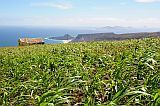 Insel: So Vicente  Wanderweg:  Ort: Monte Verde Motiv: Feld Motivgruppe: Landscape Agriculture © Pitt Reitmaier www.Cabo-Verde-Foto.com