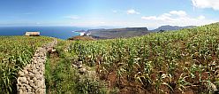 So Vicente : Monte Verde : field : Landscape Agriculture
Cabo Verde Foto Gallery