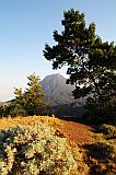 Fogo : Bordeira Monte Gomes : vista ao pico : Landscape Mountain
Cabo Verde Foto Galeria