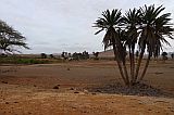 Insel: Boa Vista  Wanderweg:  Ort: Fonte Vicente Horta do Belga Motiv: Oase Motivgruppe: Landscape Desert © Pitt Reitmaier www.Cabo-Verde-Foto.com