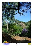 Insel: Santo Anto  Wanderweg: 106a Ort: Pero Dias Motiv: blhende Jacaranda Wanderweg Motivgruppe: Landscape Forest © Pitt Reitmaier www.Cabo-Verde-Foto.com