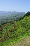 Santo Anto : Pico da Cruz : Planalto in the rainy season : Landscape Mountain
Cabo Verde Foto Gallery