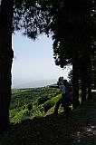 Santo Anto : Ribeirao Fundo : Planalto in the rainy season : Landscape Mountain
Cabo Verde Foto Gallery