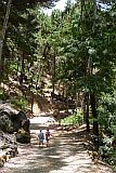 Santo Anto : Pico da Cruz : on the way to school : Landscape Forest
Cabo Verde Foto Gallery