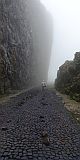 Insel: So Vicente  Wanderweg:  Ort: Monte Verde Motiv: Strasse im Nebel Motivgruppe: Landscape Mountain © Pitt Reitmaier www.Cabo-Verde-Foto.com