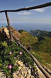 Santo Anto : Pico da Cruz Gudo Banderola : view on Pero Dias : Landscape Mountain
Cabo Verde Foto Gallery