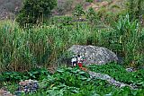 Santo Anto : Paul : hiking trail : Landscape
Cabo Verde Foto Gallery