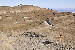 Santo Antão : Norte Cha de Feijoal : pastores burros na aguada : Landscape Desert
Cabo Verde Foto Galeria