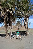 So Vicente : Palha Carga : MTB palm trees : Landscape
Cabo Verde Foto Gallery