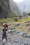 Insel: Santo Anto  Wanderweg:  Ort: R de Neve Motiv: Bauer mit Kopflast Feuerholz Motivgruppe: People Work © Pitt Reitmaier www.Cabo-Verde-Foto.com