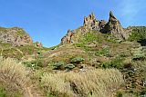 So Nicolau : Canto de Faija : Trilha com dragoeiro : Nature Plants
Cabo Verde Foto Galeria