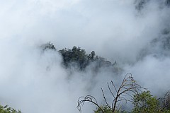 Insel: Santo Anto  Wanderweg: 105 Ort: Lombo de Carrosco Gudo sem Voz Motiv: Blick auf Gudo sem Voz im Nebel Motivgruppe: Landscape Mountain © Pitt Reitmaier www.Cabo-Verde-Foto.com