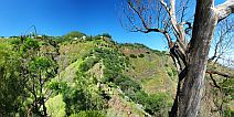 Santo Anto : Pico da Cruz Lombo Vermelho : green fiels beneth the pine forest house : Landscape Mountain
Cabo Verde Foto Gallery