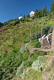 Santo Anto : Pico da Cruz Lombo Vermelho : meradas verdes frente ao permetro florestal casa : Landscape Mountain
Cabo Verde Foto Galeria