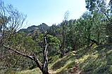 Santo Anto : Espongeiro Escovadinha : view from trail on Escovadinha : Landscape Mountain
Cabo Verde Foto Gallery