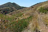 Santo Anto : Agua das Caldeiras : hiking trail : Landscape
Cabo Verde Foto Gallery