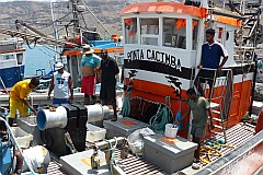 São Nicolau : Tarrafal : fishtrawler : Technology Fishery
Cabo Verde Foto Gallery