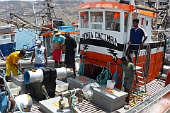 So Nicolau : Tarrafal : barco de pesca : Technology Fishery
Cabo Verde Foto Galeria