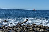 Santo Anto : Canjana Praia Formosa : rosty remains of SS John Schmeltzer : History site
Cabo Verde Foto Gallery