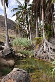 So Nicolau : Castilhano : mountain oasis : Landscape Desert
Cabo Verde Foto Gallery