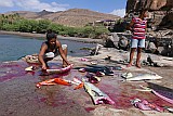 Insel: So Nicolau  Wanderweg: - Ort: Carrical Motiv: Fische verteilen und putzen Motivgruppe: People Work © Pitt Reitmaier www.Cabo-Verde-Foto.com