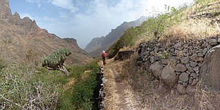 Insel: So Nicolau  Wanderweg: 109a Ort: Tzukud Motiv: Drachenbaum Motivgruppe: Nature Plants © Pitt Reitmaier www.Cabo-Verde-Foto.com