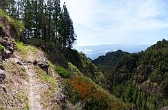 Santo Anto : Pico da Cruz : forest trail easward view : Landscape Mountain
Cabo Verde Foto Gallery